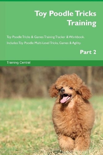 Toy poodle tricks training - poodle,