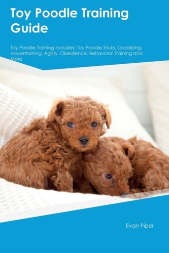 Piper toy poodle training - -,
