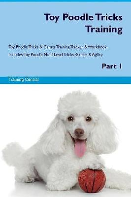 Toy poodle tricks training - training,