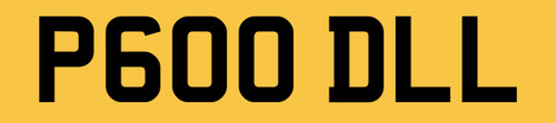Poodle dog number plate - poodle,