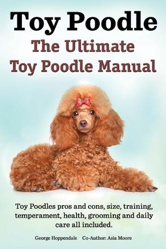 George hoppenda toy poodles - toy,