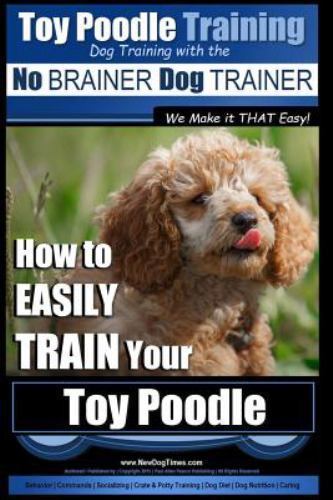 Toy poodle training - toy,