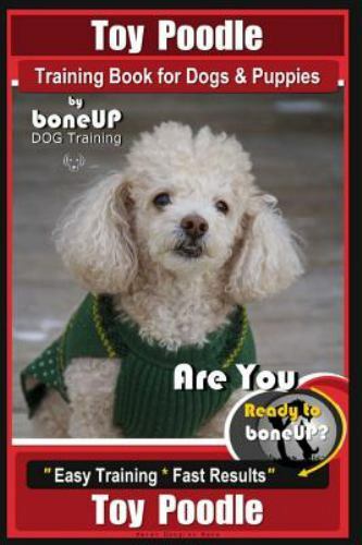 Toy poodle training - toy, for