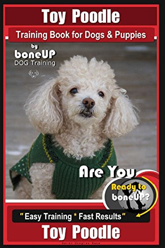 Toy poodle training - toy,