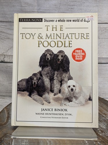 The toy miniature poodle - toy,