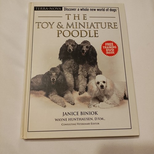 The toy miniature poodle - toy,