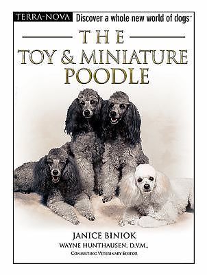 The toy miniature - &,