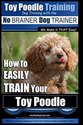 Toy poodle training dog - poodle,