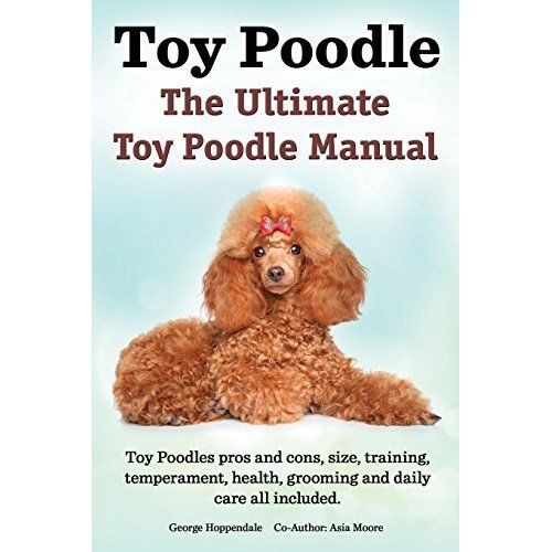 Toy poodles the ultimate - poodles.,