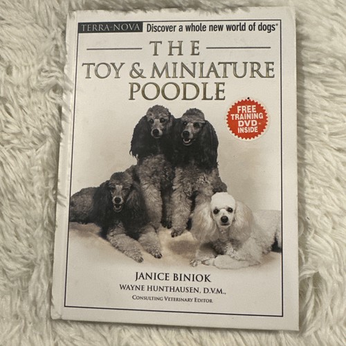 The toy miniature - the, poodle