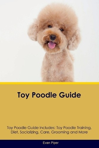 Toy poodle guide - guide,