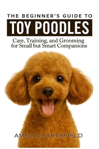 The beginner guide - to, toy