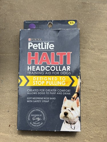 Blue halti dog - blue, headcollar