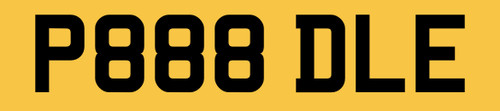P888 dle dog number plate - p888,