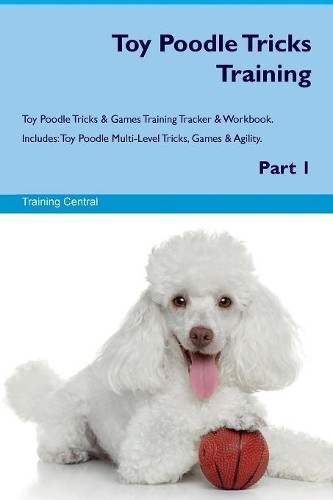 Toy poodle tricks training - tricks,