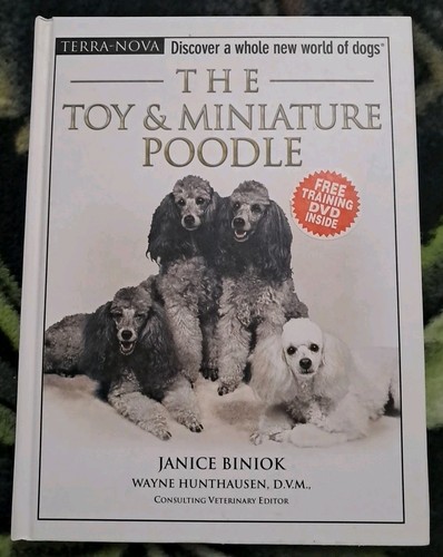 Toy and miniature poodle - and, by
