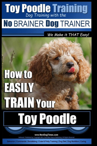 Toy poodle training dog - toy,