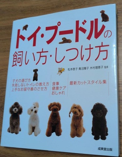 How raise and train toy - and, a