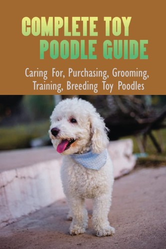 Complete toy poodle guide - toy,
