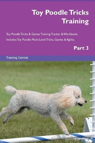 Toy poodle tricks training - poodle,