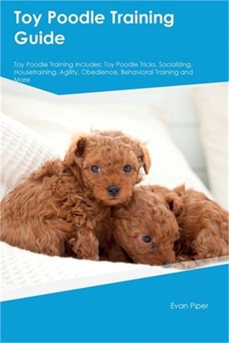 Toy poodle training guide - training,