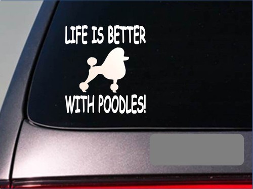 Life better with poodles - life,