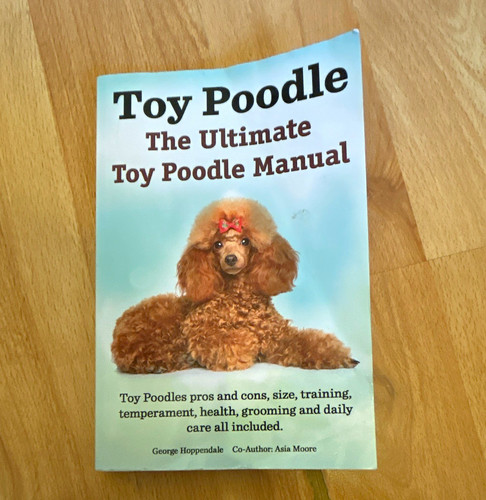 Toy poodle the ultimate - toy, poodle: